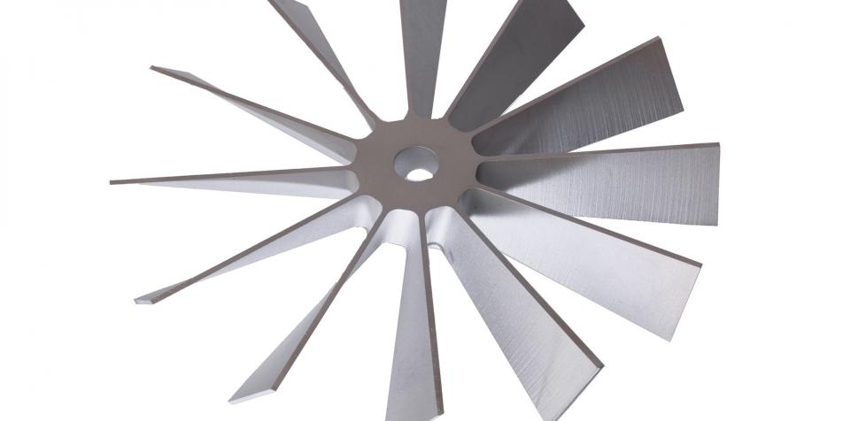 Naumann-Leipheim38-220211-frei-ohne blau_